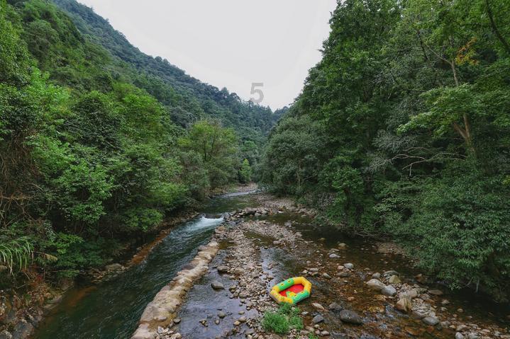 板材加盟前景如何？能不能给点建议？游戏画面
