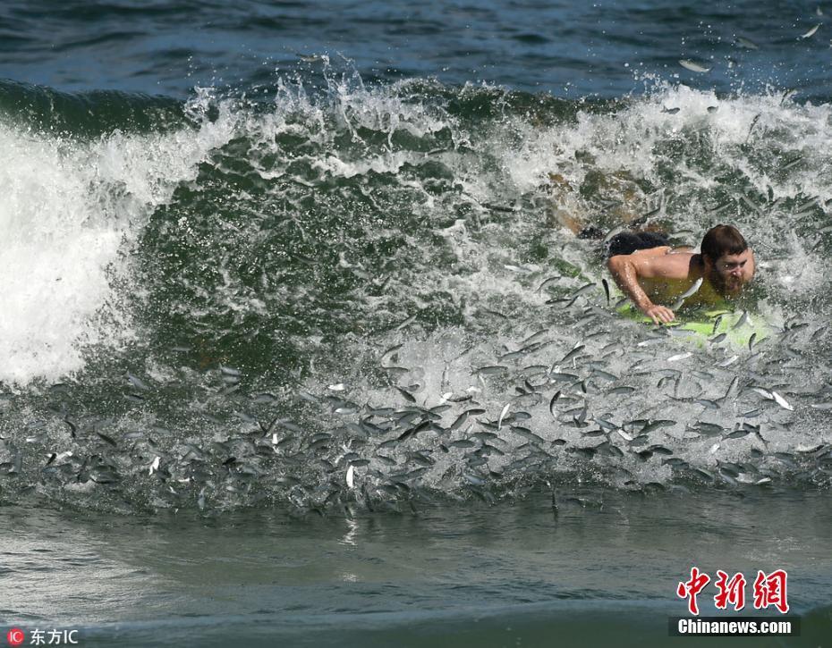 逃离水虎鱼湖