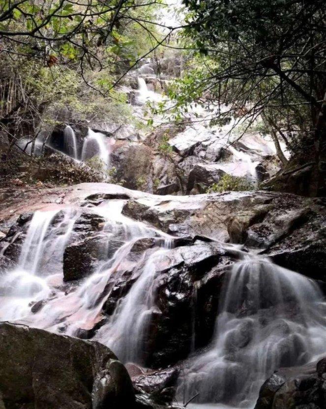 救援小巨鳄