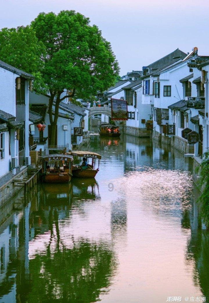 细胞分裂4