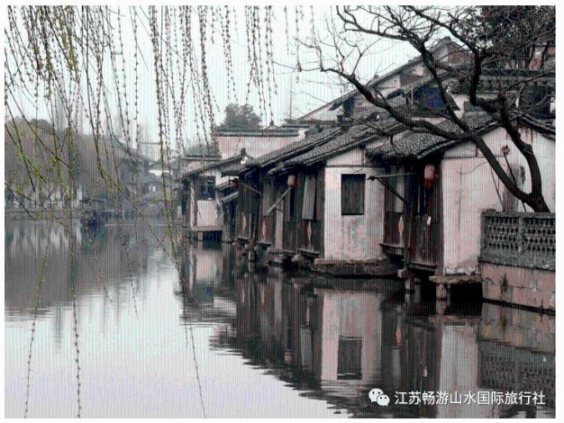 明星圈粉瞬间：杨幂跪地签名，鹿晗道歉，陈伟霆最暖心，你们被圈粉了吗？游戏画面
